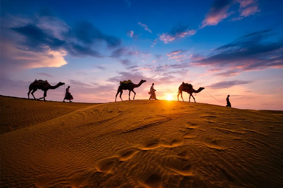 Camel journey at sunset in the Sahara desert – DiscoverMoroccoNow Morocco desert adventure