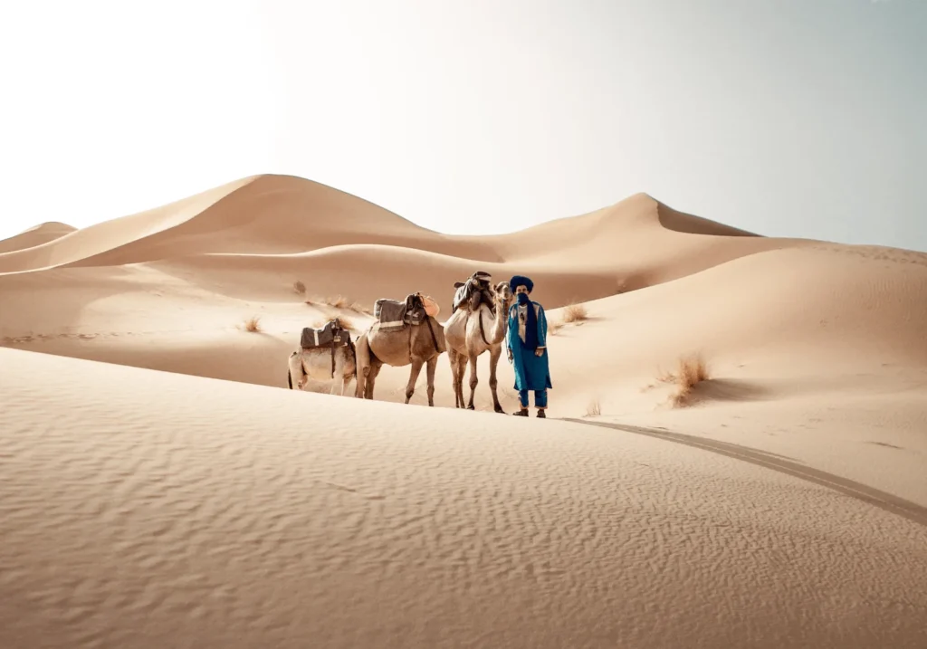 Camel trekking adventure in the Sahara desert – DiscoverMoroccoNow Morocco desert Merzouga